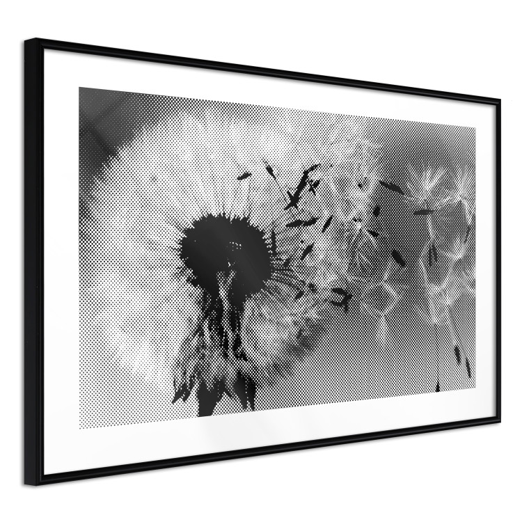 Wall Poster Fleeing Memory - black and white composition with scattered dandelions 118289 additionalImage 11