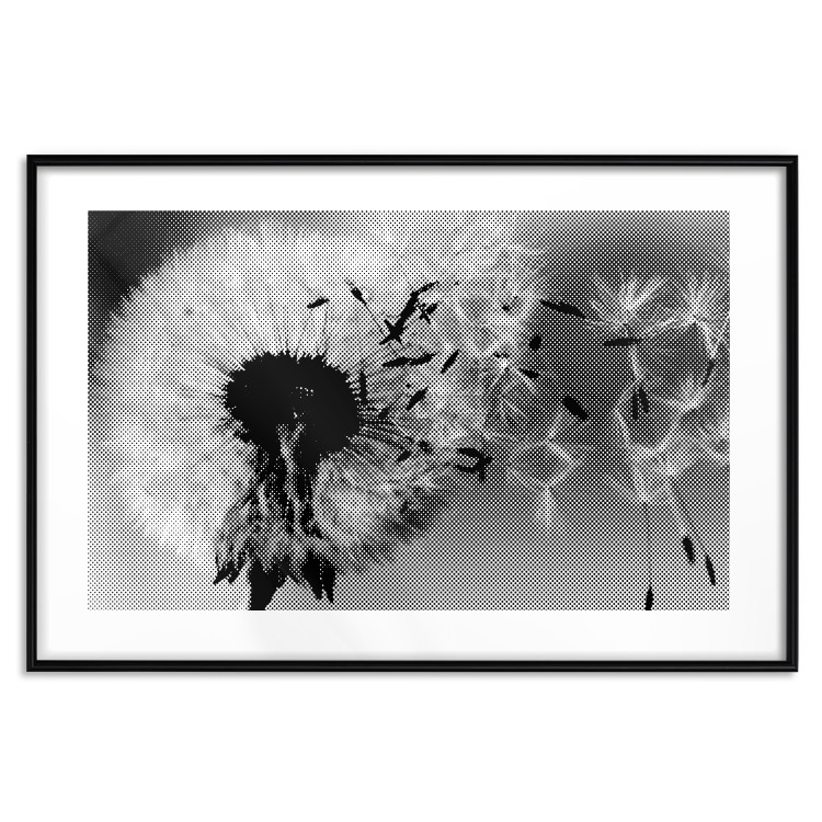 Wall Poster Fleeing Memory - black and white composition with scattered dandelions 118289 additionalImage 16