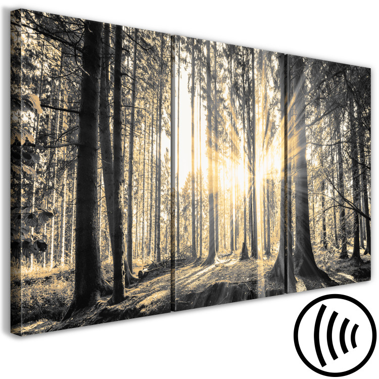 Canvas Art Print Forest Sun (3 Parts) 122189 additionalImage 6