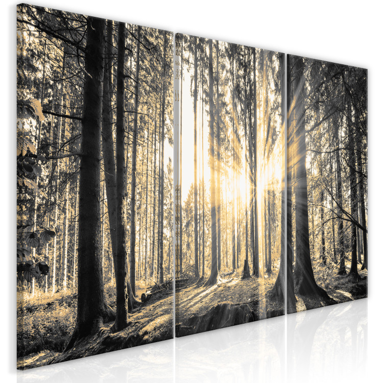 Canvas Art Print Forest Sun (3 Parts) 122189 additionalImage 2