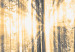 Canvas Art Print Forest Sun (3 Parts) 122189 additionalThumb 5