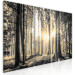 Canvas Art Print Forest Sun (3 Parts) 122189 additionalThumb 2