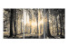 Canvas Art Print Forest Sun (3 Parts) 122189