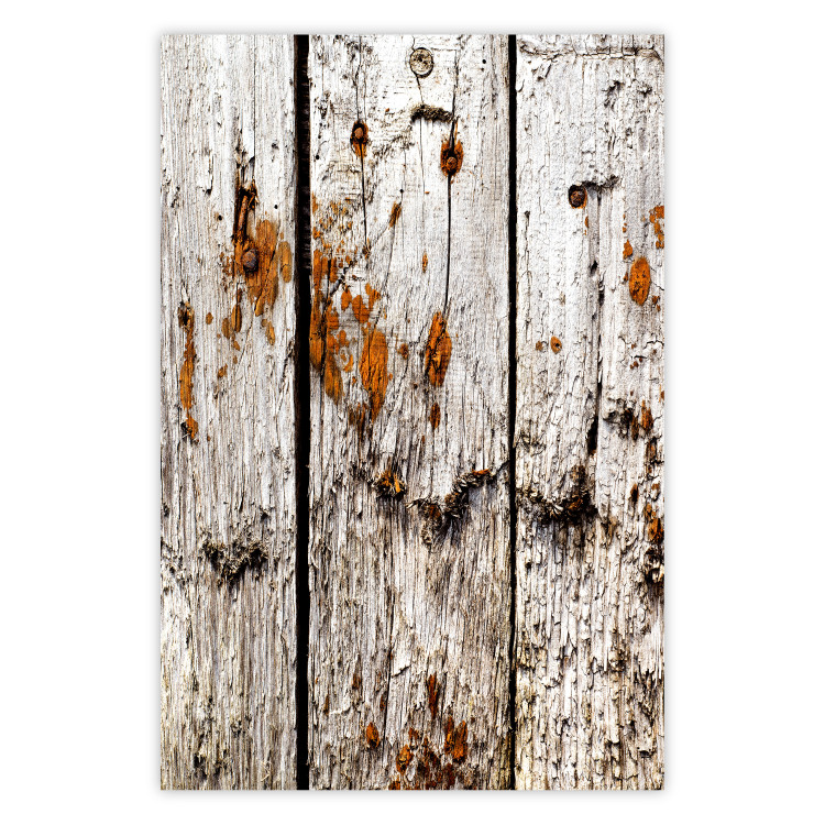 Wall Poster Timeless Tale - texture of wooden planks with brown dust 124489