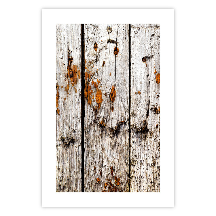 Wall Poster Timeless Tale - texture of wooden planks with brown dust 124489 additionalImage 19