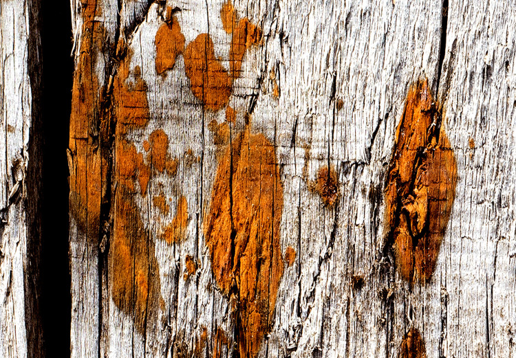Wall Poster Timeless Tale - texture of wooden planks with brown dust 124489 additionalImage 8