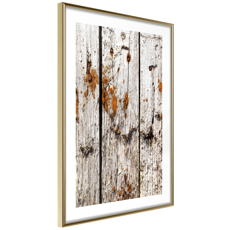 Wall Poster Timeless Tale - texture of wooden planks with brown dust 124489 additionalImage 6