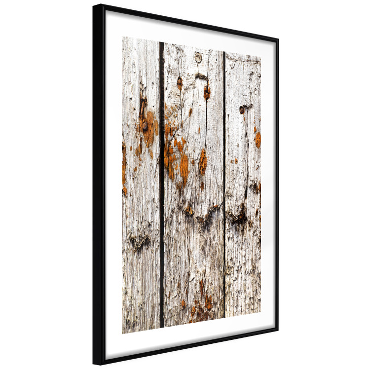 Wall Poster Timeless Tale - texture of wooden planks with brown dust 124489 additionalImage 11