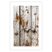 Wall Poster Timeless Tale - texture of wooden planks with brown dust 124489 additionalThumb 19