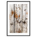 Wall Poster Timeless Tale - texture of wooden planks with brown dust 124489 additionalThumb 15