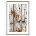 Wall Poster Timeless Tale - texture of wooden planks with brown dust 124489 additionalThumb 14