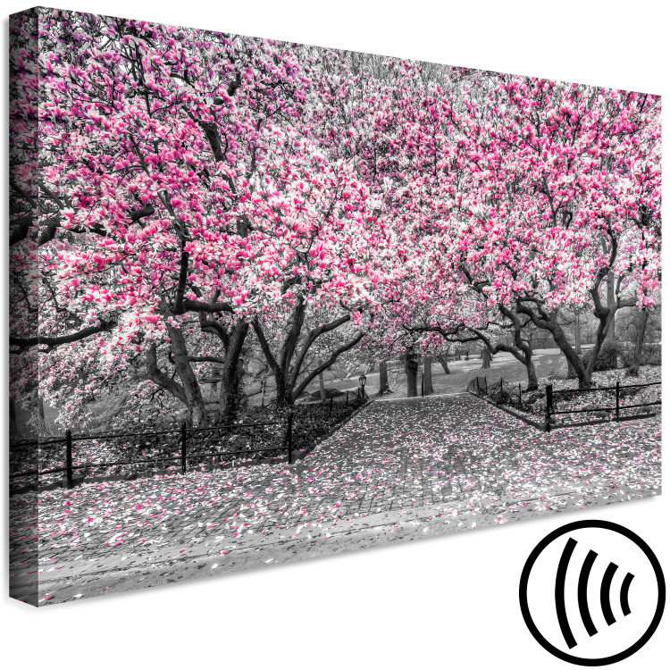 Canvas Art Print Magnolia Park (1-part) wide - pink flowers in a gray setting 128789 additionalImage 6