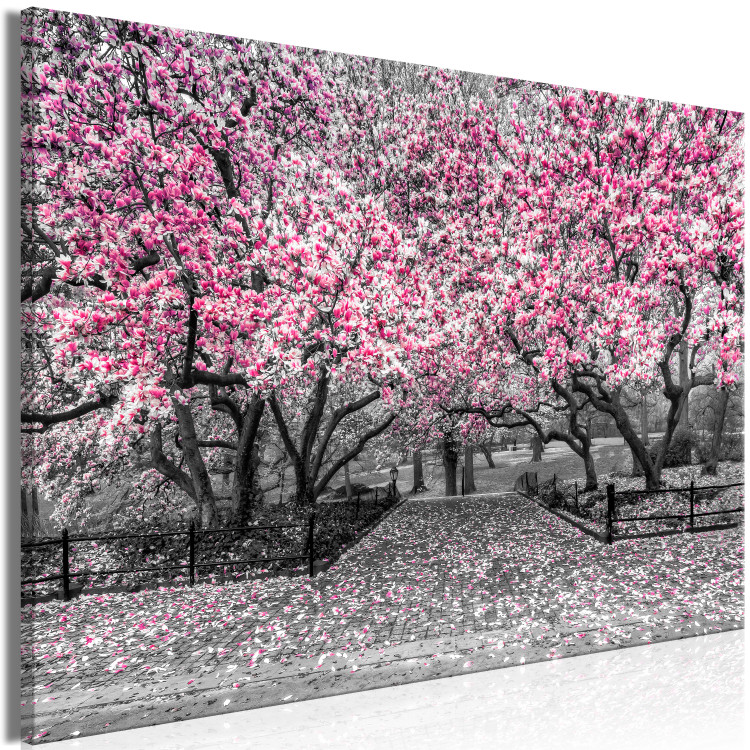 Canvas Art Print Magnolia Park (1-part) wide - pink flowers in a gray setting 128789 additionalImage 2