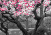 Canvas Art Print Magnolia Park (1-part) wide - pink flowers in a gray setting 128789 additionalThumb 4