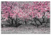 Canvas Art Print Magnolia Park (1-part) wide - pink flowers in a gray setting 128789
