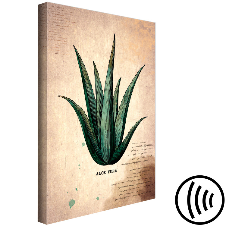 Canvas Print Herb Notebook Page (1-part) vertical - aloe leaf in vintage style 129389 additionalImage 6