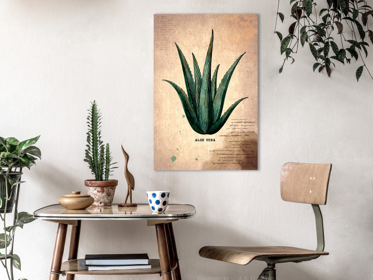 Canvas Print Herb Notebook Page (1-part) vertical - aloe leaf in vintage style 129389 additionalImage 3