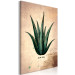 Canvas Print Herb Notebook Page (1-part) vertical - aloe leaf in vintage style 129389 additionalThumb 2