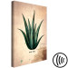 Canvas Print Herb Notebook Page (1-part) vertical - aloe leaf in vintage style 129389 additionalThumb 6