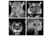 Canvas Big Cats (4-piece) - black and white lions in an oriental ambiance 129889