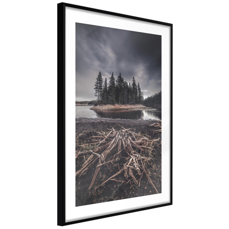 Wall Poster Wooded Island - dark forest landscape and a small lake against the sky 130389 additionalImage 8
