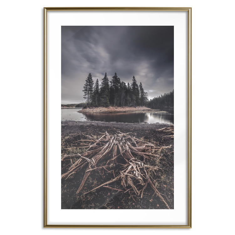 Wall Poster Wooded Island - dark forest landscape and a small lake against the sky 130389 additionalImage 14