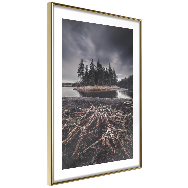 Wall Poster Wooded Island - dark forest landscape and a small lake against the sky 130389 additionalImage 7