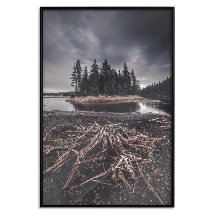 Wall Poster Wooded Island - dark forest landscape and a small lake against the sky 130389 additionalImage 16