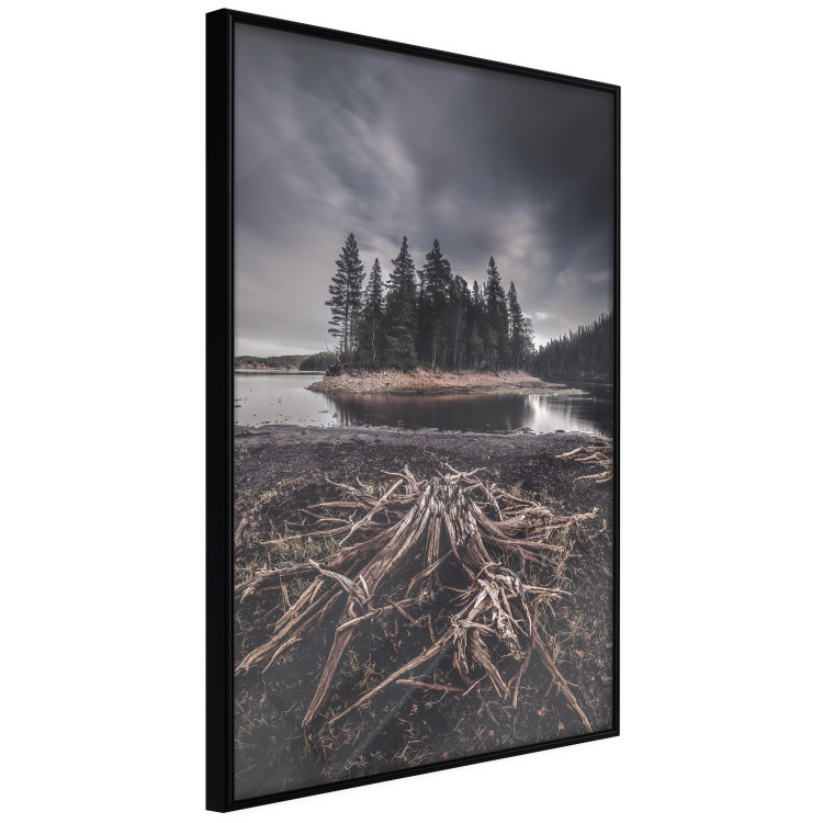Wall Poster Wooded Island - dark forest landscape and a small lake against the sky 130389 additionalImage 11