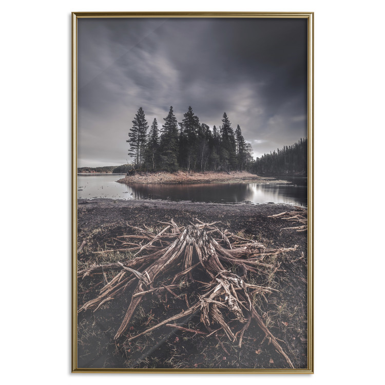 Wall Poster Wooded Island - dark forest landscape and a small lake against the sky 130389 additionalImage 21