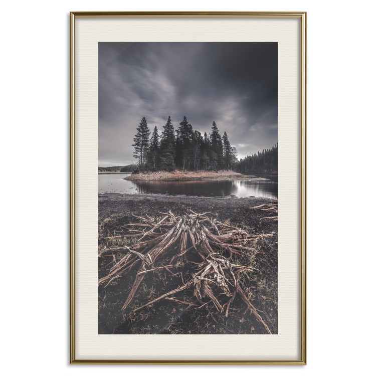 Wall Poster Wooded Island - dark forest landscape and a small lake against the sky 130389 additionalImage 20