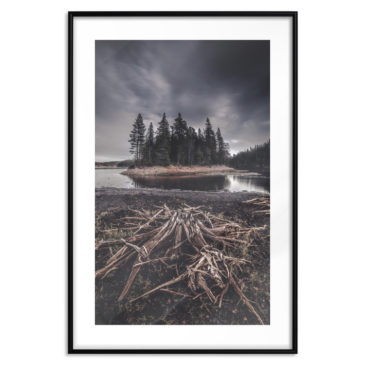 Wall Poster Wooded Island - dark forest landscape and a small lake against the sky 130389 additionalImage 15