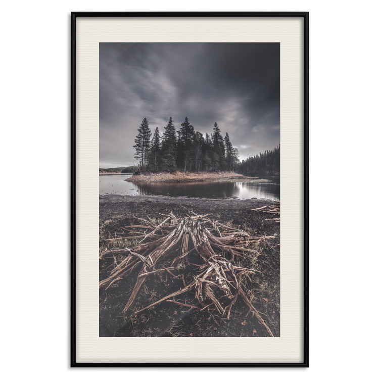 Wall Poster Wooded Island - dark forest landscape and a small lake against the sky 130389 additionalImage 19