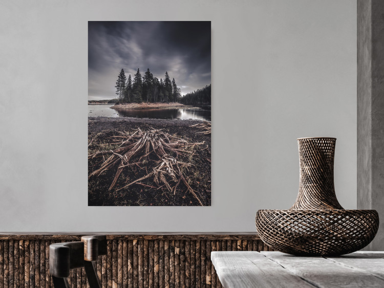 Wall Poster Wooded Island - dark forest landscape and a small lake against the sky 130389 additionalImage 4