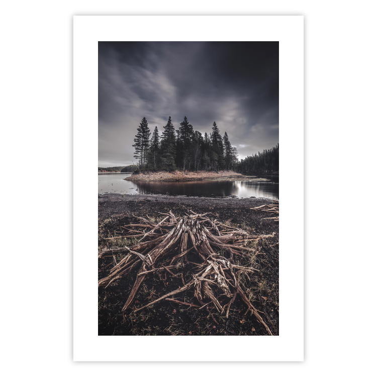 Wall Poster Wooded Island - dark forest landscape and a small lake against the sky 130389 additionalImage 25