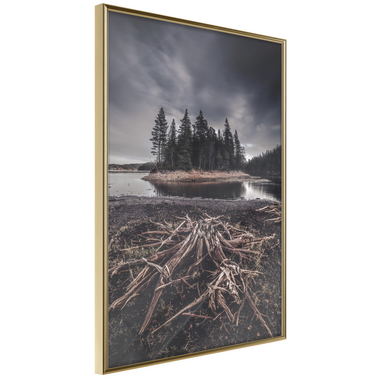 Wall Poster Wooded Island - dark forest landscape and a small lake against the sky 130389 additionalImage 12