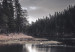 Wall Poster Wooded Island - dark forest landscape and a small lake against the sky 130389 additionalThumb 10