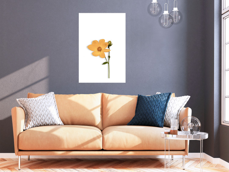 Wall Poster Lovely Flower - a plant with a yellow flower on a uniform white background 130789 additionalImage 3