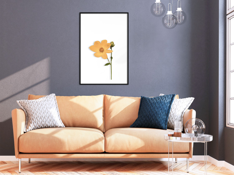 Wall Poster Lovely Flower - a plant with a yellow flower on a uniform white background 130789 additionalImage 21