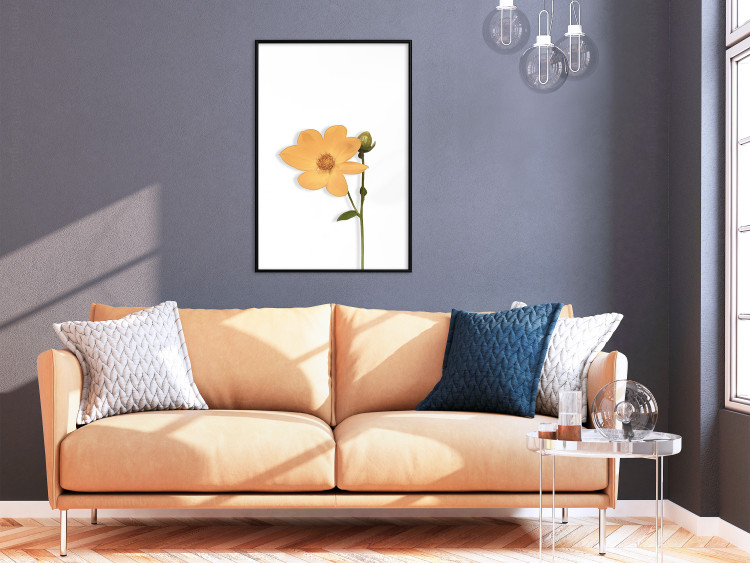 Wall Poster Lovely Flower - a plant with a yellow flower on a uniform white background 130789 additionalImage 4
