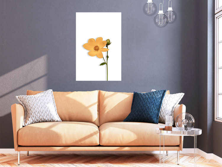 Wall Poster Lovely Flower - a plant with a yellow flower on a uniform white background 130789 additionalImage 2