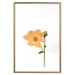 Wall Poster Lovely Flower - a plant with a yellow flower on a uniform white background 130789 additionalThumb 20