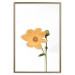 Wall Poster Lovely Flower - a plant with a yellow flower on a uniform white background 130789 additionalThumb 25