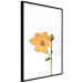 Wall Poster Lovely Flower - a plant with a yellow flower on a uniform white background 130789 additionalThumb 13