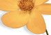 Wall Poster Lovely Flower - a plant with a yellow flower on a uniform white background 130789 additionalThumb 10