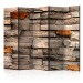 Folding Screen Stone Song II (5-piece) - unique warm-colored background 133489