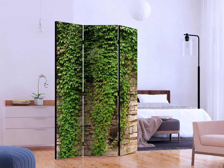 Room Divider Ivy Wall - light brick wall covered with green leafy plant 133789 additionalImage 2
