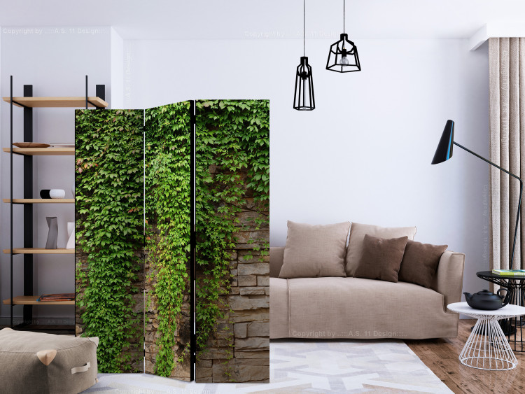 Room Divider Ivy Wall - light brick wall covered with green leafy plant 133789 additionalImage 4