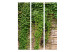 Room Divider Ivy Wall - light brick wall covered with green leafy plant 133789 additionalThumb 3