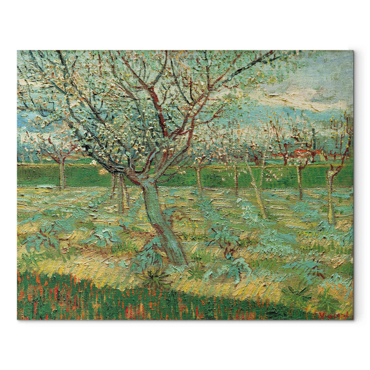 Reproduction Painting Orchard with Apricot Trees in Blossom  159789